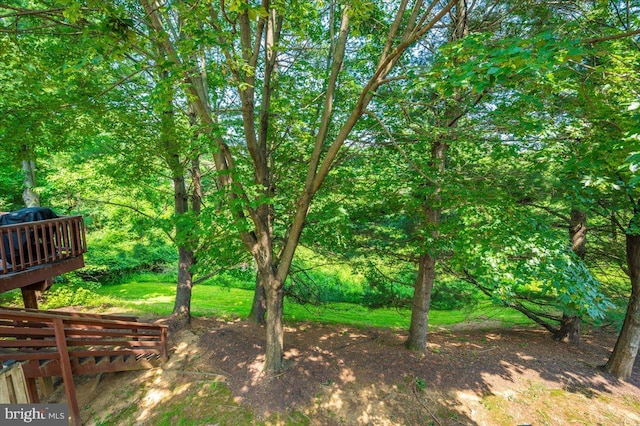 6343 Wind Rider Way, Columbia, MD 21045 - view of yard
