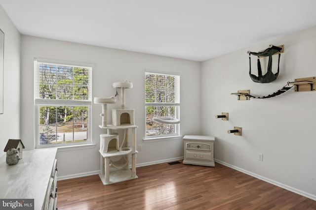 interior space with baseboards, plenty of natural light, and wood finished floors