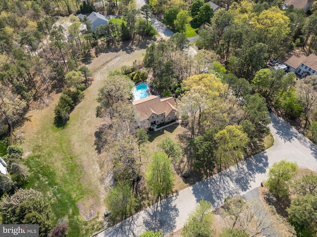 bird's eye view