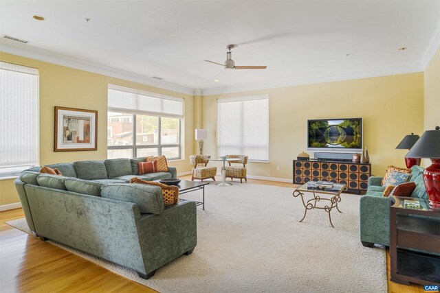 112 SE 5th St Unit 5A, Charlottesville, VA 22902