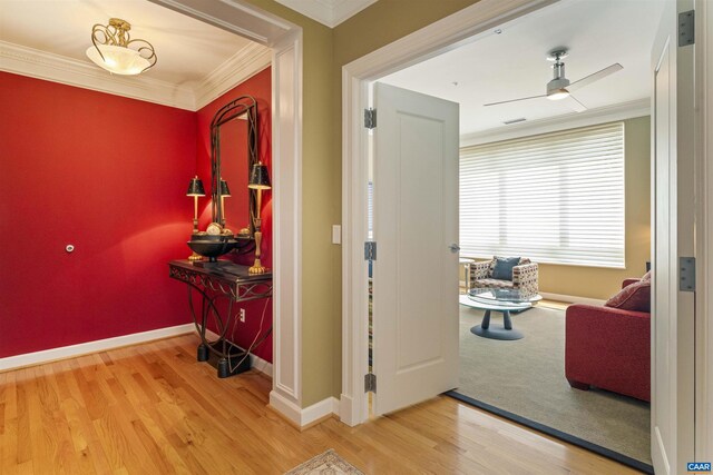 112 SE 5th St Unit 5A, Charlottesville, VA 22902