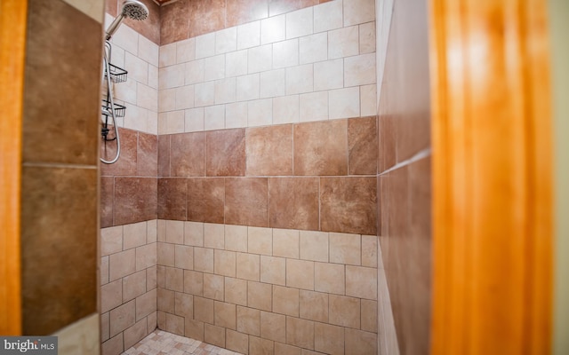 97 Heverly Ln, Beech Creek, PA 16822 - bathroom featuring tiled shower