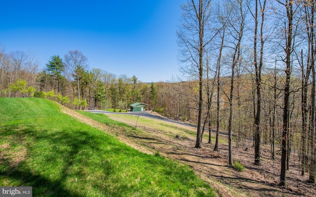 97 Heverly Ln, Beech Creek, PA 16822 - view of home's community with a yard and a view of trees