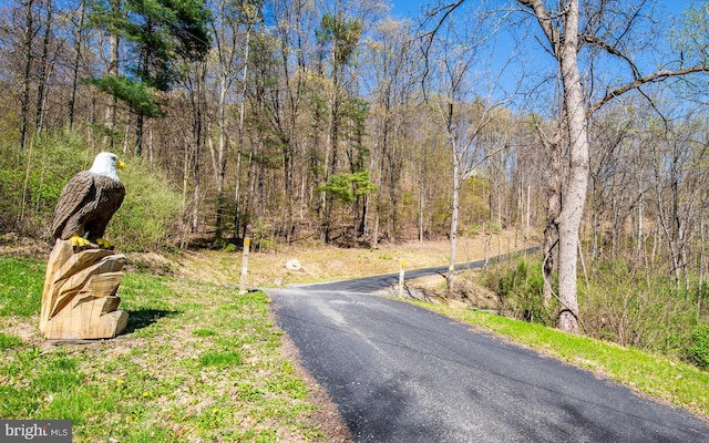 97 Heverly Ln, Beech Creek, PA 16822 - view of street featuring a view of trees