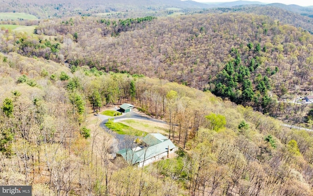 97 Heverly Ln, Beech Creek, PA 16822 - bird's eye view with a wooded view and a mountain view