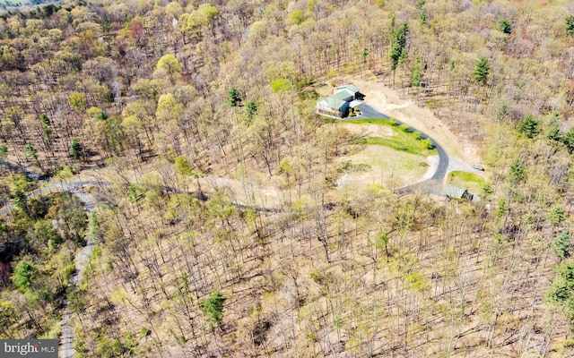 97 Heverly Ln, Beech Creek, PA 16822 - drone / aerial view with a forest view