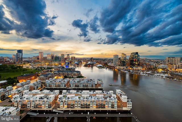 100 Harborview Dr Unit 2107, Baltimore, MD 21230 - water view featuring nearby urban area