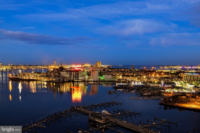 100 Harborview Dr Unit 2107, Baltimore, MD 21230 - water view featuring a marina and a dock