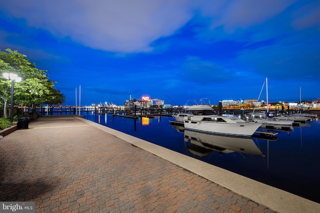 100 Harborview Dr Unit 2107, Baltimore, MD 21230 - dock area featuring a water view and view of marina