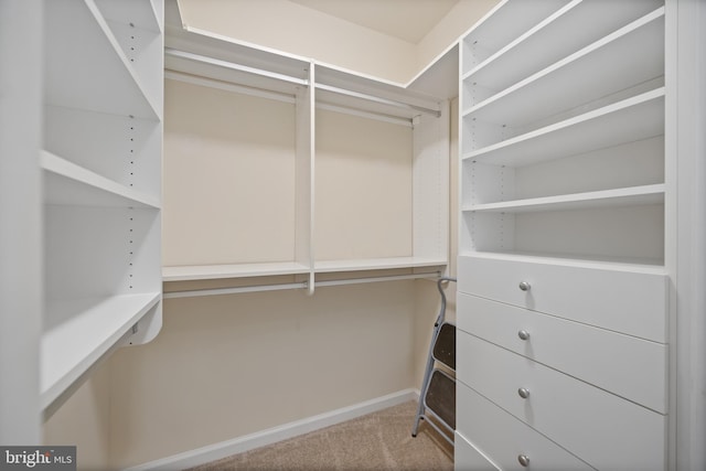 walk in closet with carpet floors