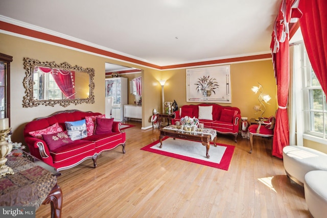living room featuring crown molding and wood finished floors