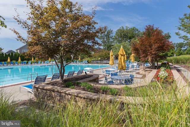 42248 Lancaster Woods Sq, Chantilly, VA 20152 - community pool with a patio