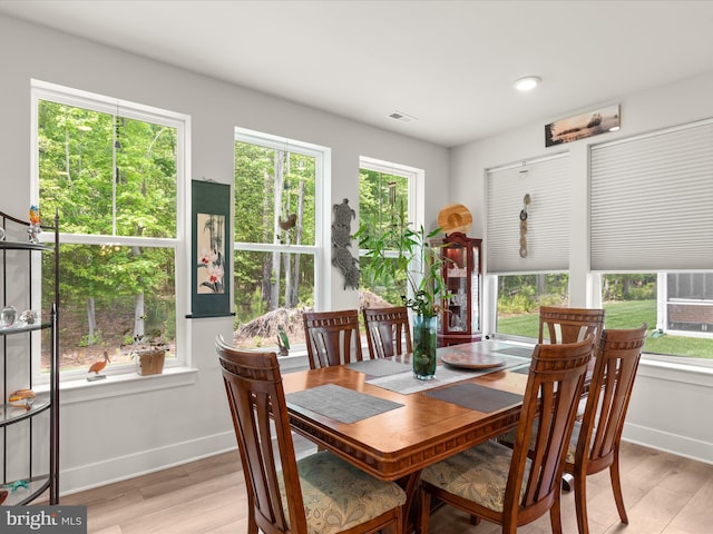 32019 Carlisle Ct, Frankford, DE 19945 - dining space with healthy amount of natural light, light wood-style flooring, and baseboards