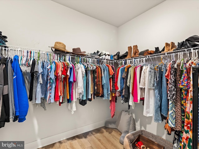 32019 Carlisle Ct, Frankford, DE 19945 - walk in closet with wood finished floors