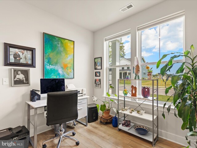 32019 Carlisle Ct, Frankford, DE 19945 - home office with light wood finished floors and baseboards