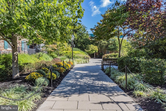 44 Nassau St Unit A, Princeton, NJ 08542 - view of property's community