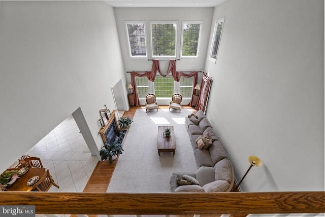 living area featuring a towering ceiling
