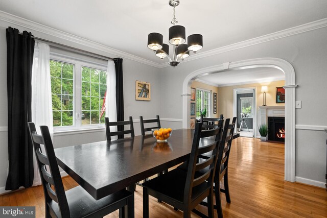 3210 Old Dominion Blvd, Alexandria, VA 22305 - dining room with arched walkways, a chandelier, light wood-style flooring, crown molding, and a fireplace with flush hearth