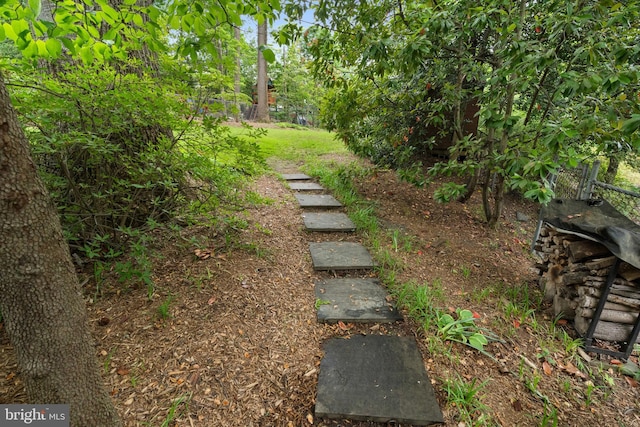 3210 Old Dominion Blvd, Alexandria, VA 22305 - view of yard