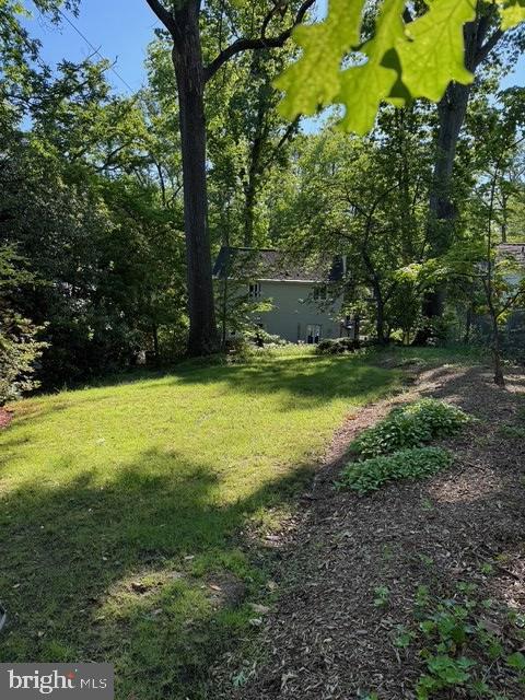 3210 Old Dominion Blvd, Alexandria, VA 22305 - view of green lawn