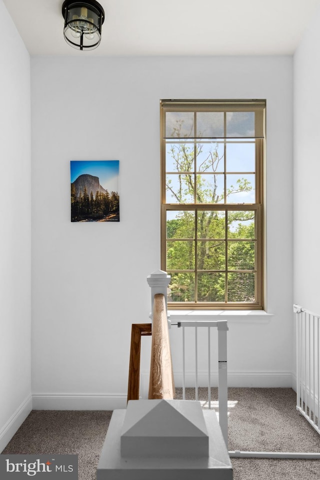 stairway with carpet floors and baseboards