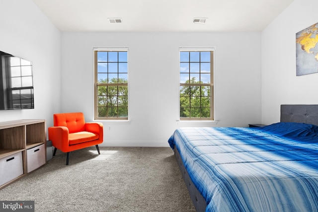 bedroom with multiple windows, carpet, and baseboards