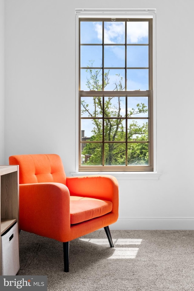 sitting room with baseboards and carpet flooring
