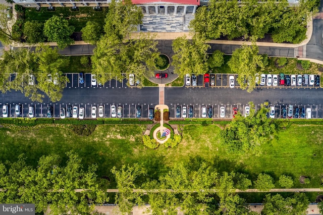 bird's eye view