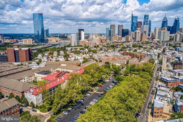 bird's eye view of a skyline view