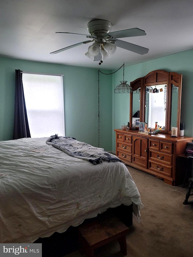 70 W Hamlin Ave, Telford, PA 18969 - bedroom featuring carpet floors and ceiling fan