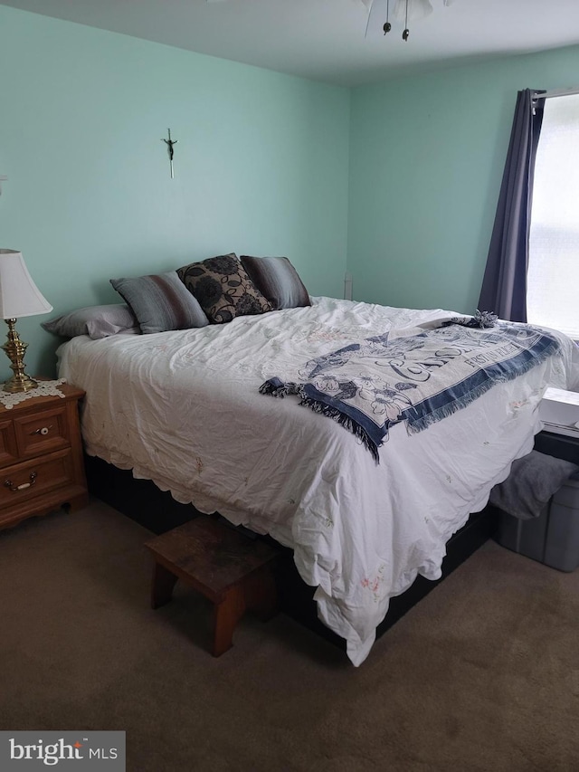 70 W Hamlin Ave, Telford, PA 18969 - view of carpeted bedroom