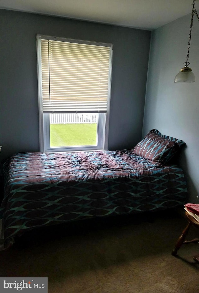 70 W Hamlin Ave, Telford, PA 18969 - view of carpeted bedroom