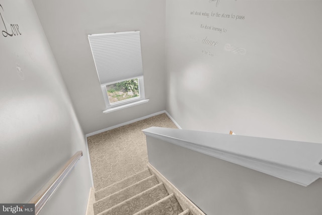 staircase with carpet flooring and baseboards