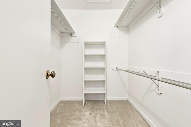 walk in closet with light carpet