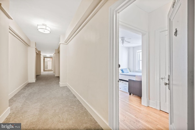1954 Columbia Rd NW Unit 504, Washington, DC 20009 - corridor with baseboards and light carpet