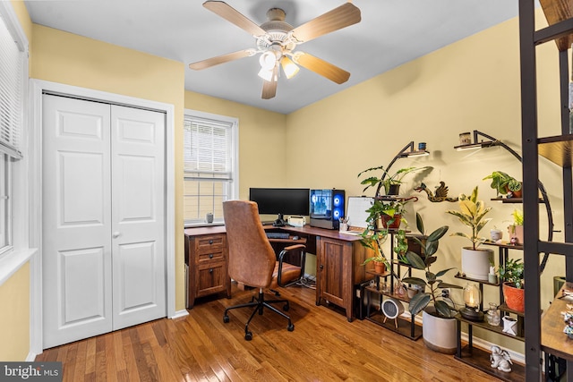 office with light wood finished floors and a ceiling fan
