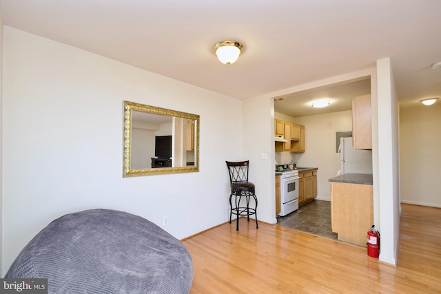 2845 Denver St SE Unit 204, Washington, DC 20020 - living area featuring baseboards and wood finished floors