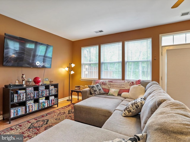 104 Panmure, Stephens City, VA 22655 - living area with healthy amount of natural light, wood finished floors, and a ceiling fan
