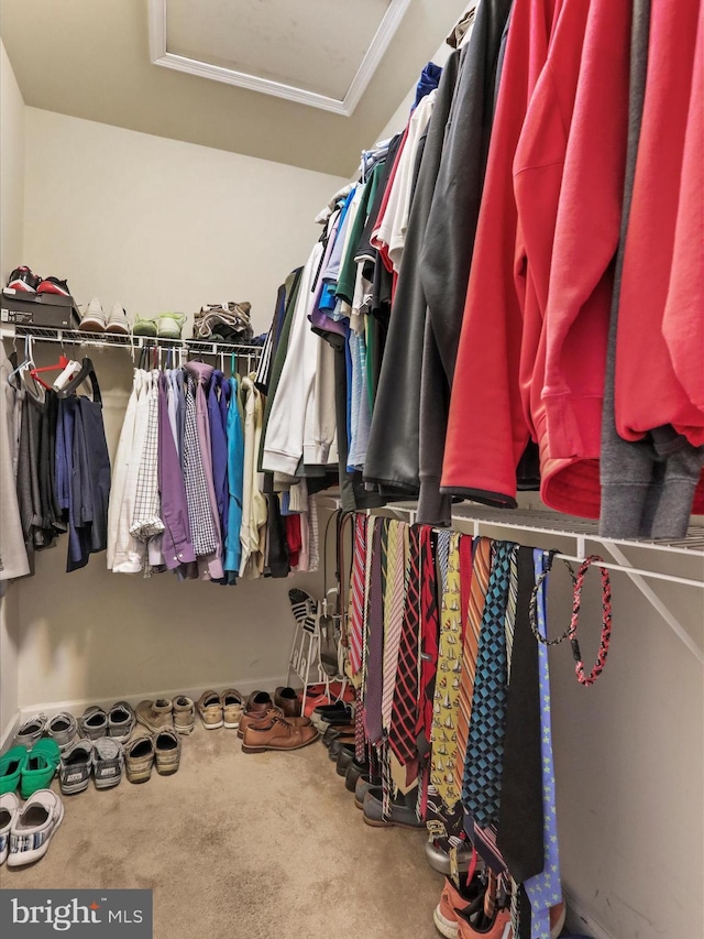 104 Panmure, Stephens City, VA 22655 - spacious closet with carpet