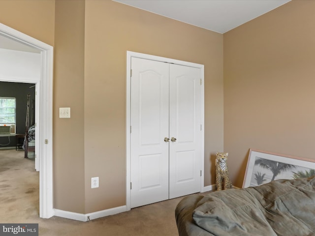 104 Panmure, Stephens City, VA 22655 - bedroom featuring carpet flooring, a closet, and baseboards