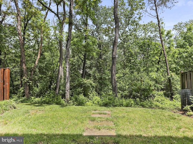 104 Panmure, Stephens City, VA 22655 - view of yard