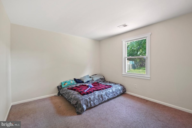 407 Bryan Point Rd, Accokeek, MD 20607 - bedroom with carpet flooring