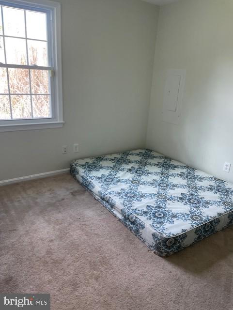 bedroom featuring multiple windows and carpet flooring