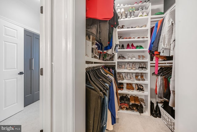 502 King Farm Blvd Unit 202, Rockville, MD 20850 - walk in closet with carpet floors