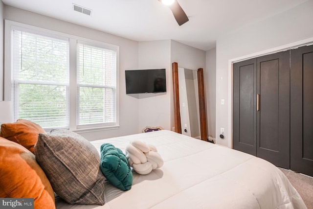 502 King Farm Blvd Unit 202, Rockville, MD 20850 - bedroom featuring ceiling fan, carpet flooring, visible vents, and multiple windows