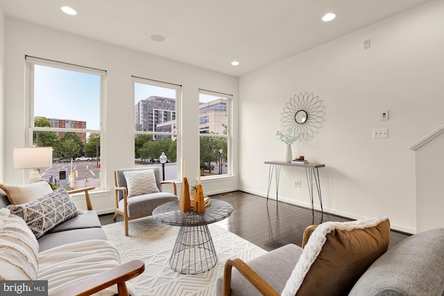 906 3rd St SE, Washington, DC 20003 - living room featuring wood finished floors, recessed lighting, and baseboards
