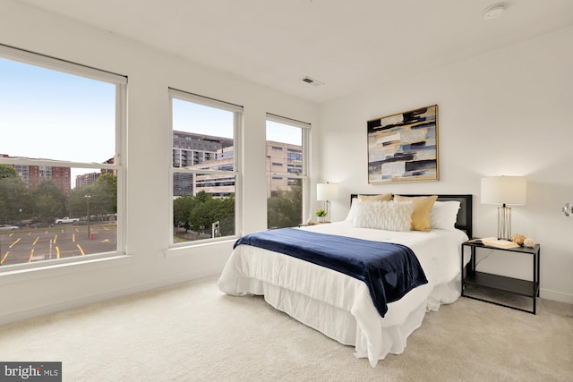 906 3rd St SE, Washington, DC 20003 - bedroom with carpet flooring and baseboards