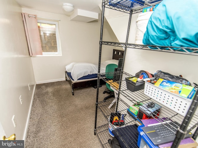 6215 Seminole Pl, College Park, MD 20740 - view of storage room