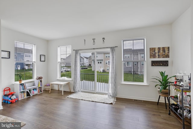 entryway featuring wood finished floors