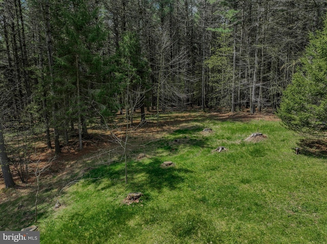view of local wilderness